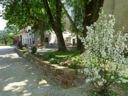 照片: Landgasthof zum Adler